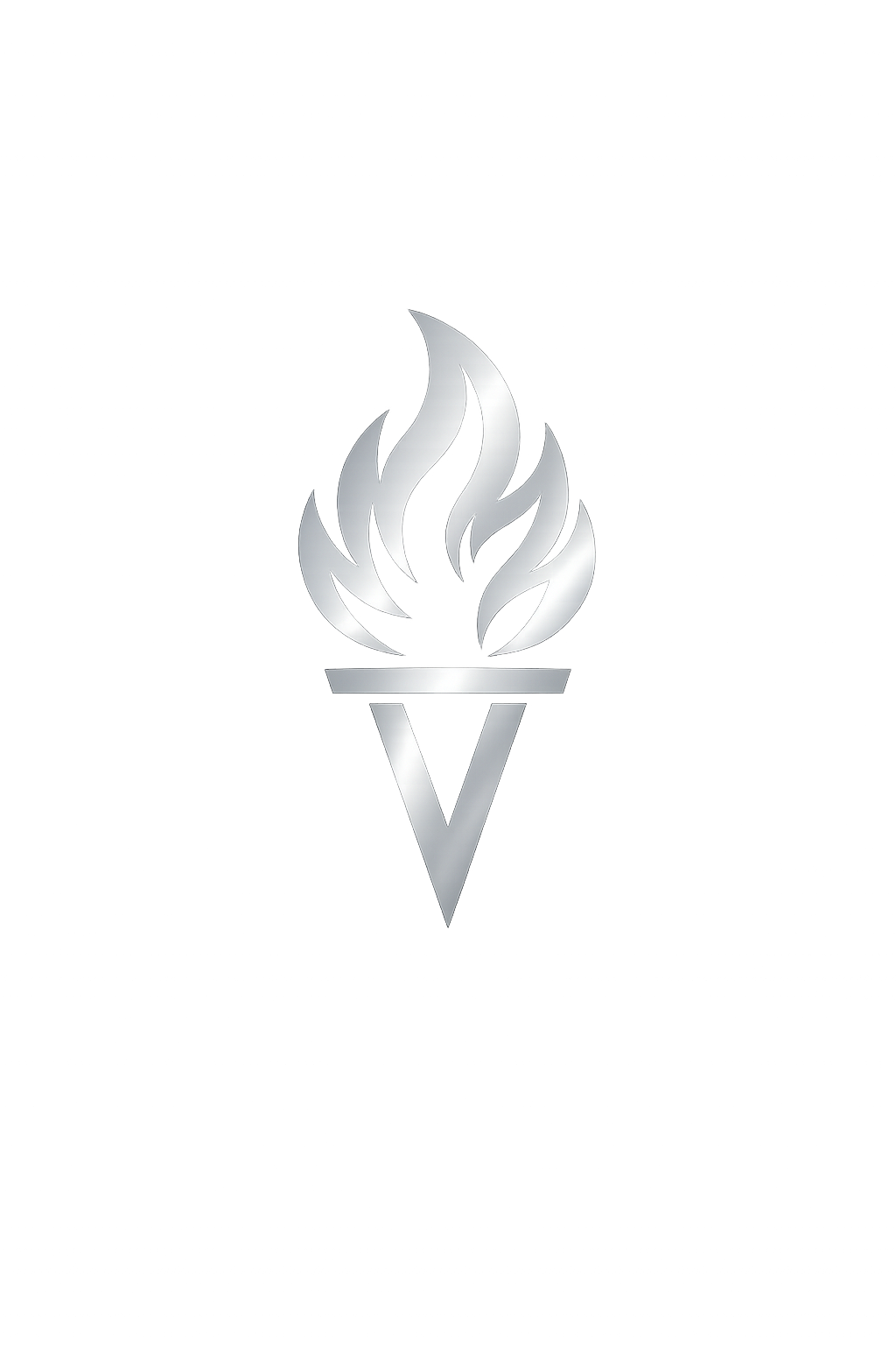 Silver certification icon